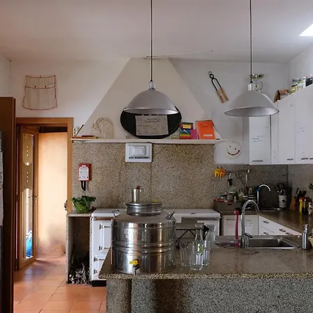 Jardim Da Guida Abragao