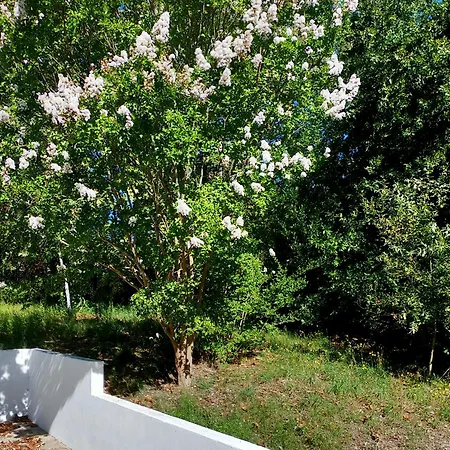 Privatunterkunft Jardim Da Guida