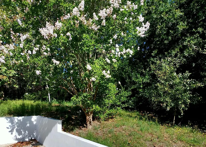 Kwatera prywatna Jardim Da Guida